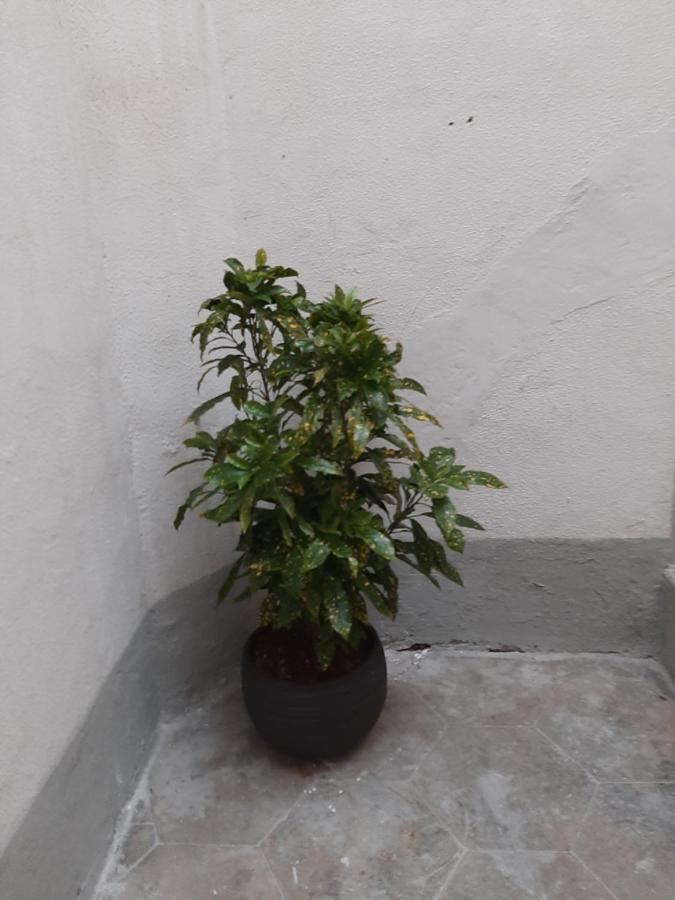 Al Crocifisso...Da Nonna Pia Apartment Salerno Ngoại thất bức ảnh